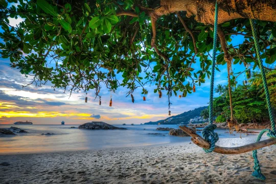 Thailand_Sea_Phuket_Andaman_Sea_Beach_Trees_Swing_