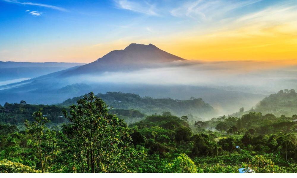 Day 02: Kintamani and Ubud Village Tour for the whole day