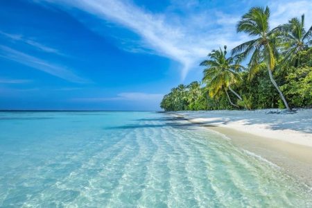 All Things Travel